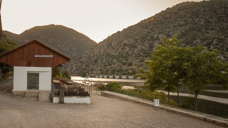 Douro: Unforgettable Douro - Pricing and Booking