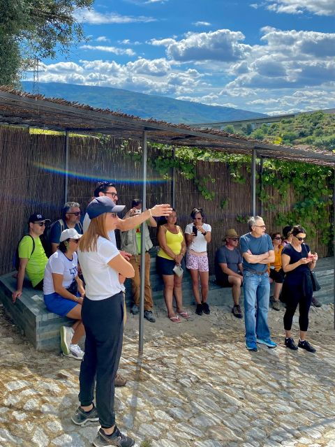 Douro - Vallado: luxury walking, picnic and wine tasting - Practical Details: What You Need to Know