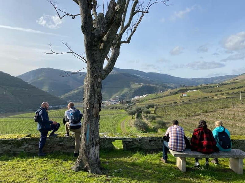 Douro valley: 10 km hike in the Valley - Good To Know