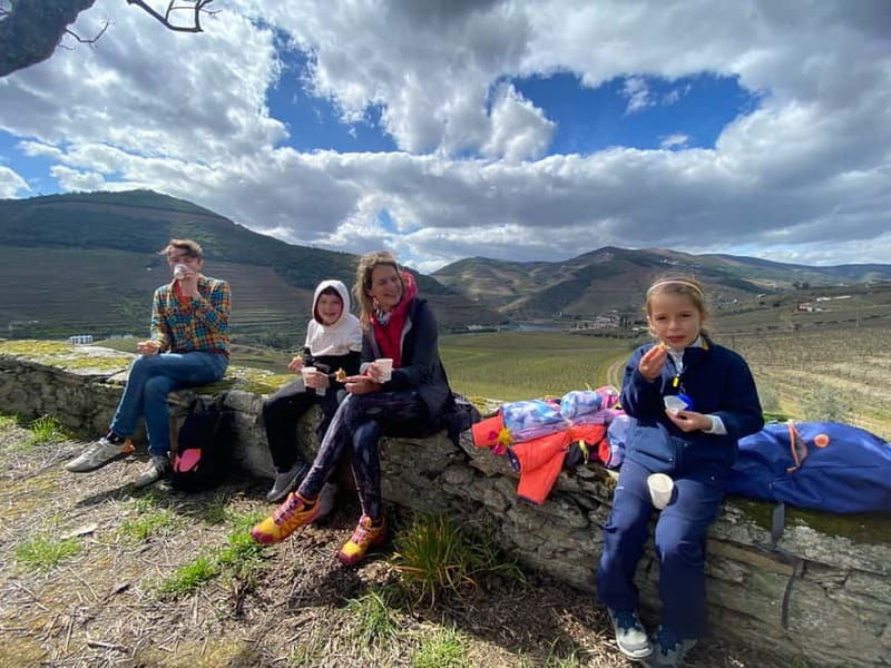 Douro valley: 10 km hike in the Valley - A Deep Dive into the Douro Valley Experience