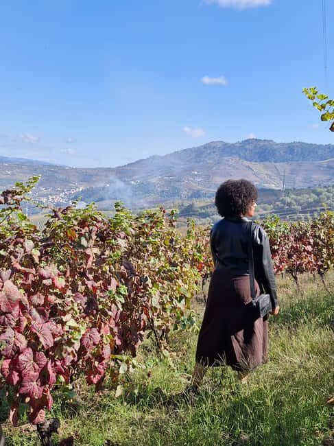 Douro Valley: 2 Vineyard Visits with Lunch and River Cruise - An In-Depth Look at the Tour Experience