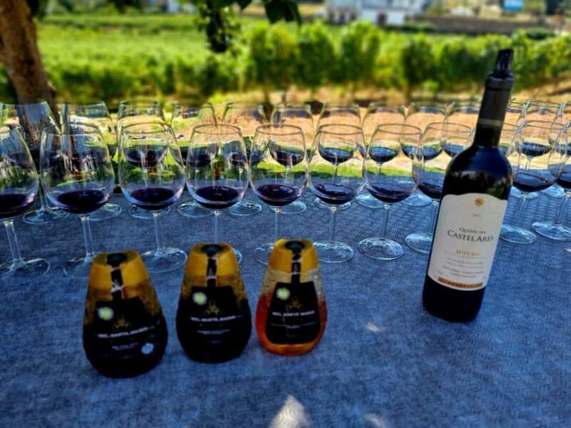 Douro Valley: 2 Vineyard Visits with Lunch and River Cruise - In Summary