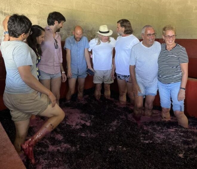 Douro Valley: 2 Vineyards, 1-Hour Cruise and Lunch - Included Experiences