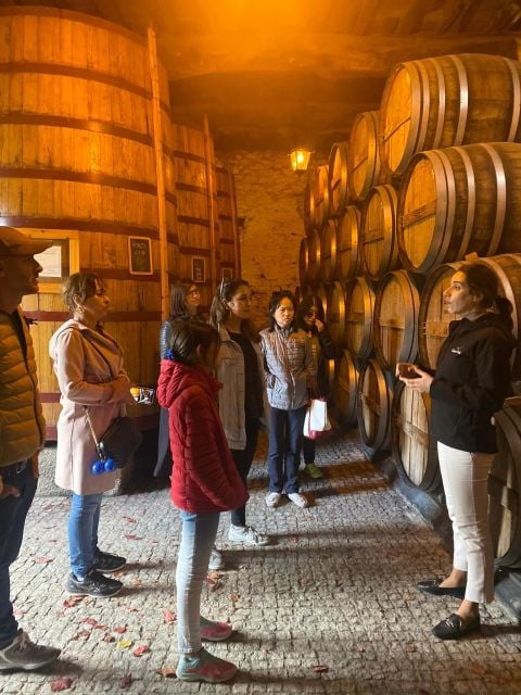 Douro Valley: 2 Vineyards, 1-Hour Cruise and Lunch - Participant Restrictions