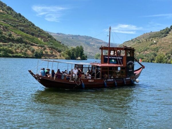 Douro Valley: 2 Vineyards, 1-Hour Cruise and Lunch - The Sum Up