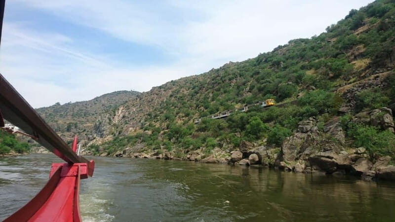 Douro Valley: 2 Wineries, Lunch & Boat - Exploring the Douro Valley: A Deep Dive into a Memorable Day