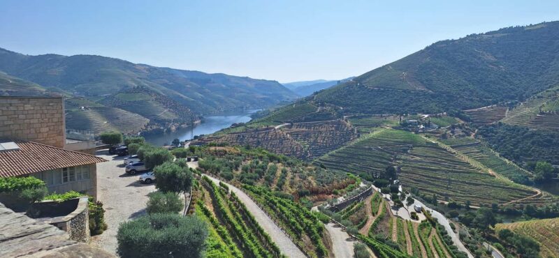Douro Valley: 2 Wineries, Lunch & Boat - Whats Included & What to Keep in Mind