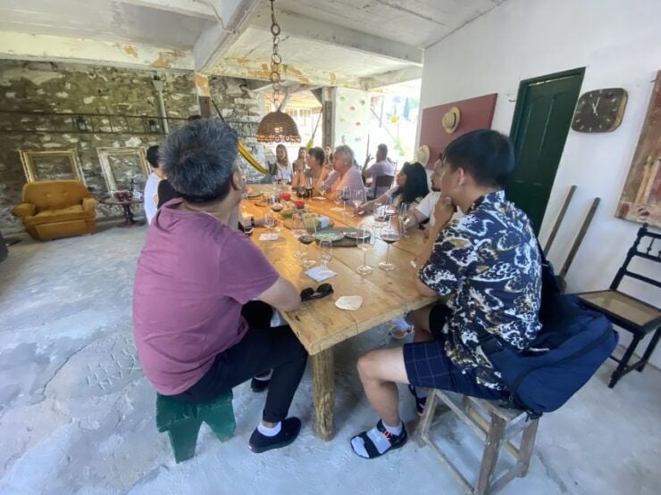 Douro Valley: 2 Wineries, Tastings, Cruise, & Lunch - Tour Details