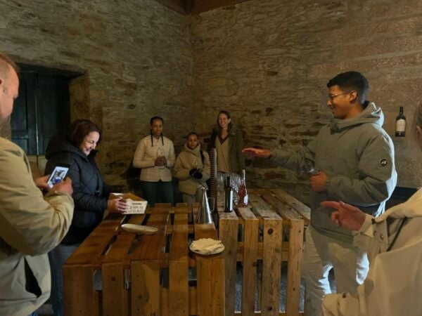 Douro Valley: 2 Wineries, Tastings, Cruise, & Lunch - The Sum Up