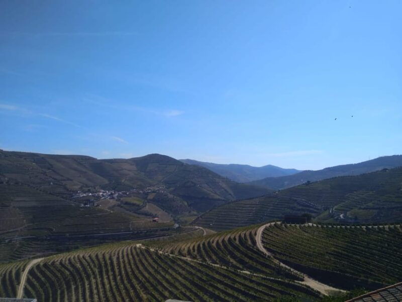 Douro Valley & Amarante - from Porto, Braga or Guimarães - The Practicalities: What to Expect