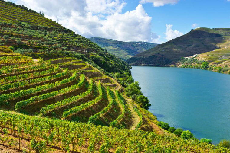 Douro Valley & Amarante - from Porto, Braga or Guimarães - Why This Tour is a Great Choice