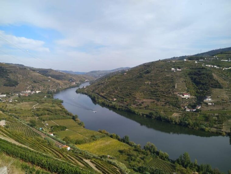 Douro Valley & Amarante - from Porto, Braga or Guimarães - Who Should Consider This Tour?