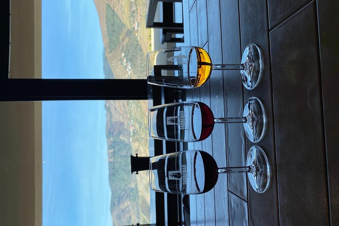 Douro Valley and Porto From Lisbon - Wine and Cheese Tasting - Pickup Details