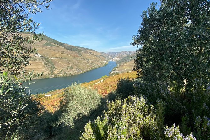 Douro Valley and Porto From Lisbon - Wine and Cheese Tasting - Important Notes