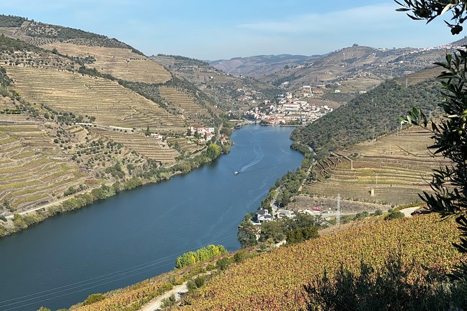 Douro Valley and Porto From Lisbon - Wine and Cheese Tasting - Pricing Information