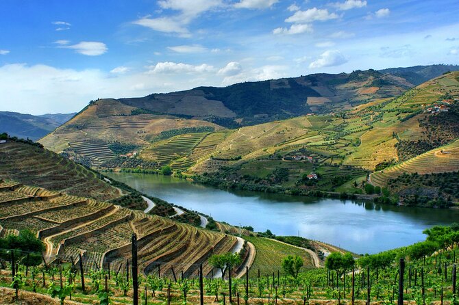 Douro Valley and Régua Panoramic Cruise With Lunch From Porto - Common Questions