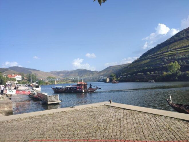 Douro Valley: Authentic Wine Tour - Inclusions