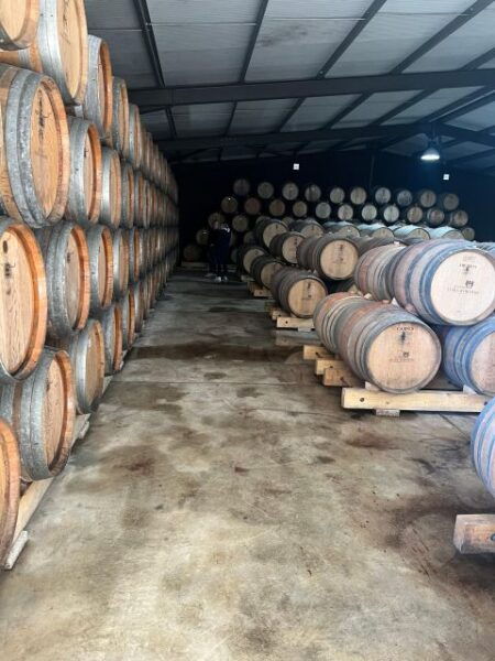Douro Valley: Authentic Wine Tour - Experience Highlights
