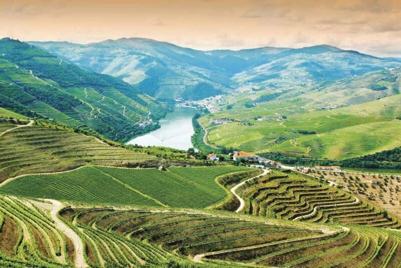 Douro Valley: Cruise & vineyard discovery from Porto or Aveiro - What’s Included and What’s Not
