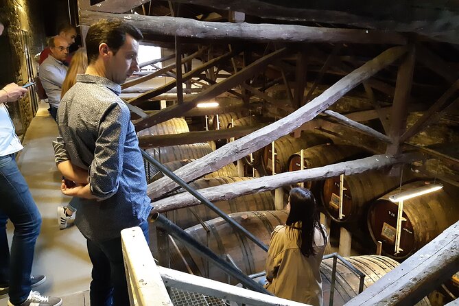 Douro Valley - Culture and Wine Tour - Itinerary Overview