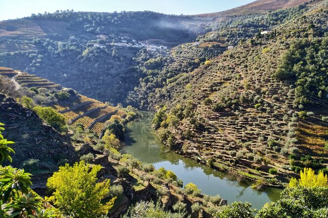 Douro Valley Day Tour With Wine Tasting and Lunch From Porto - Customer Reviews