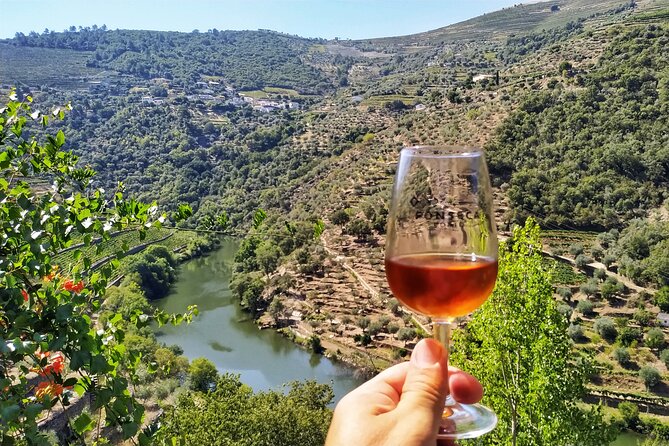 Douro Valley Day Tour With Wine Tasting and Lunch From Porto - Small Group Experience