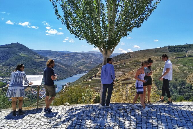 Douro Valley Day Tour With Wine Tasting and Lunch From Porto - Booking and Pricing