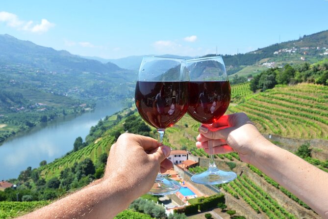 Douro Valley Delights Wine Tasting and Scenic Vistas - Good To Know