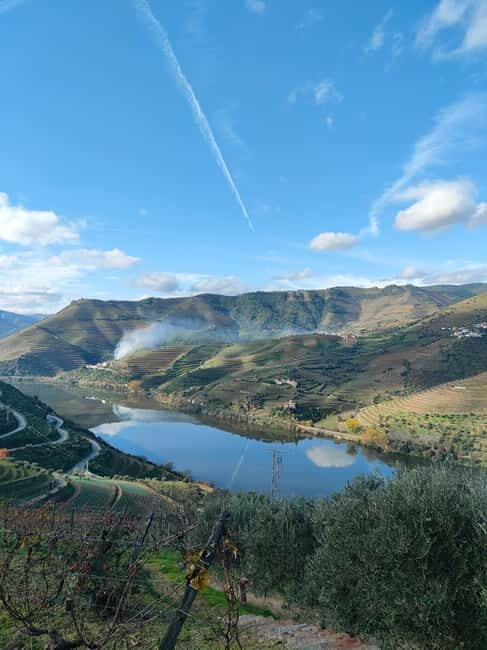 Douro Valley: Discover the Wine Region with Tastings. - Who Will Love This Tour?