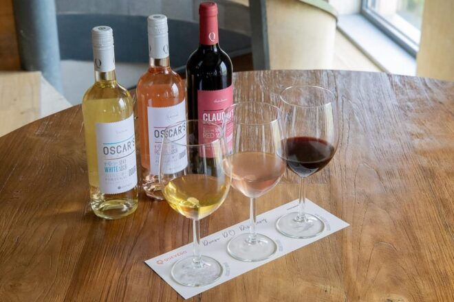 Douro Valley: DOURO D.O. DISCOVERY - Wine Tasting Highlights