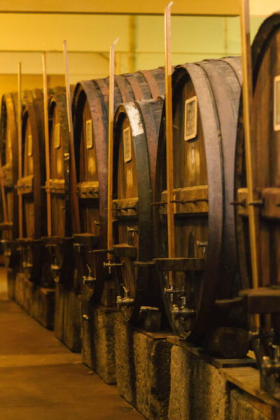 Douro Valley: DOURO D.O. DISCOVERY - Accessibility and Comfort