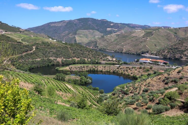 Douro Valley: Douro Valley Tour Including 3 Wineries - Tour Itinerary and Inclusions