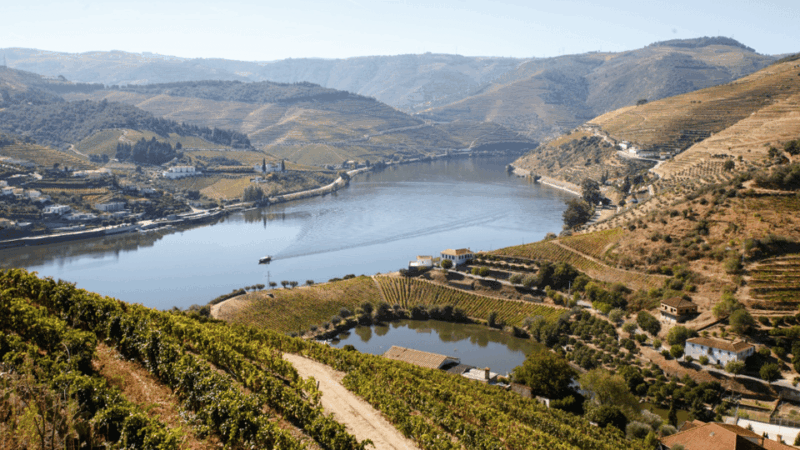 Douro Valley : Exclusive and Sustainable experience - Good To Know