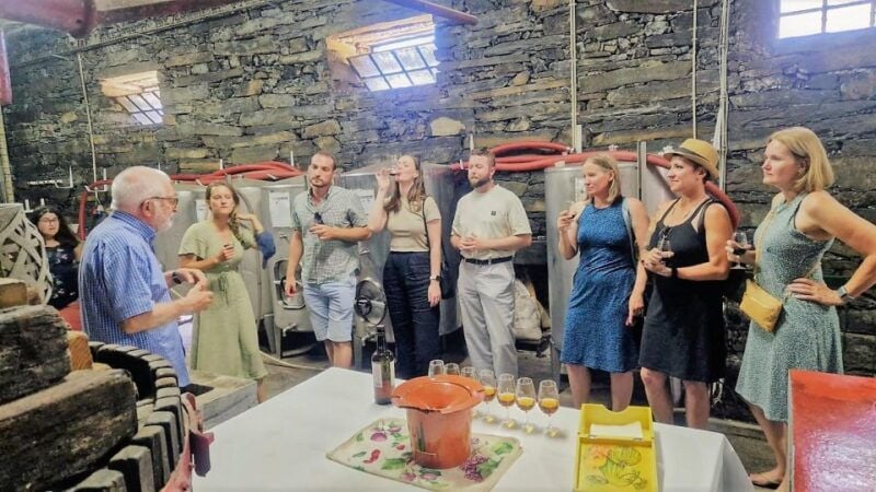 Douro Valley-Expert Guide-Boat-Lunch-Tastings PremiumService - Good To Know