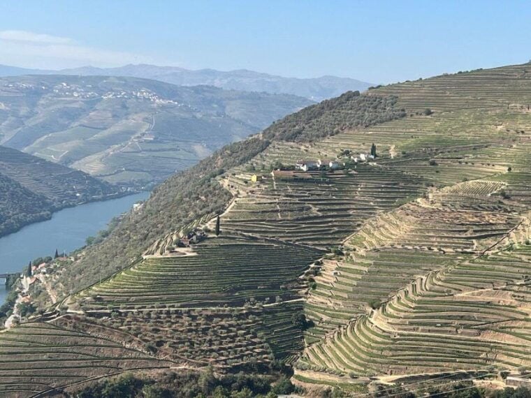 Douro Valley-Expert Guide-Boat-Lunch-Tastings PremiumService - Who Is This Tour Best For?