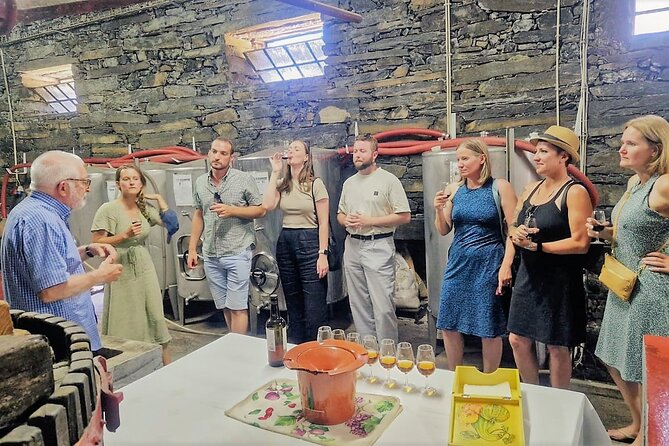 Douro Valley - Expert Wine Guide All Day, Boat, Lunch and Tastings.All Included - Wine Tastings at Renowned Wineries