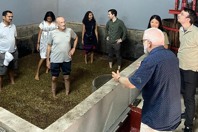 Douro Valley - Expert Wine Guide All Day, Boat, Lunch and Tastings.All Included - The Sum Up