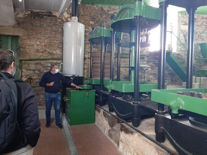 Douro Valley: From Casal De Loivos to Pinhão Walk and Wine - Transportation and Pickup