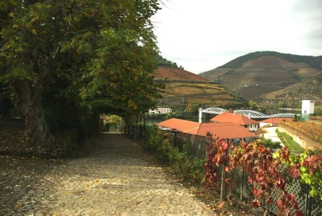 Douro Valley: From Casal De Loivos to Pinhão Walk and Wine - Inclusions and Exclusions