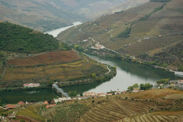 Douro Valley: From Casal De Loivos to Pinhão Walk and Wine - Scenic Route Along N222