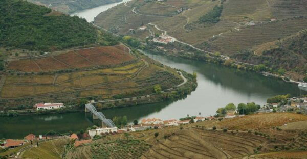 Douro Valley: From Casal De Loivos to Pinhão Walk and Wine - Vineyard Walk and Wine Tasting
