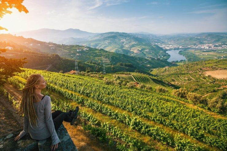 Douro Valley: Full-Day Private Wine Tour With Lunch - Experience Highlights