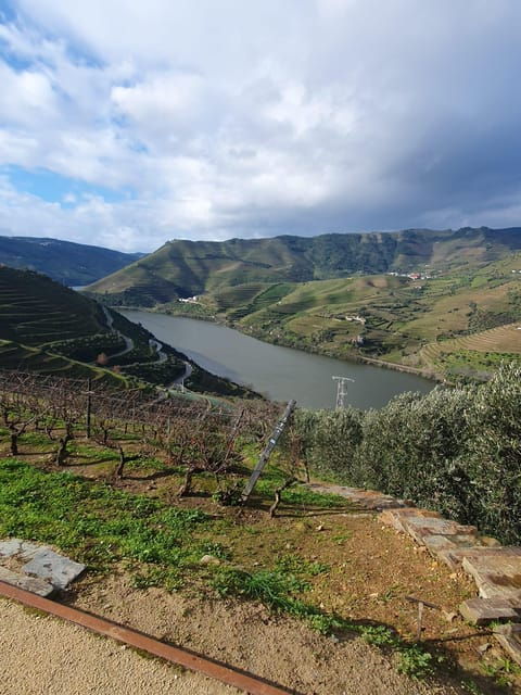 Douro Valley Full Day Tour From Lisbon - Good To Know
