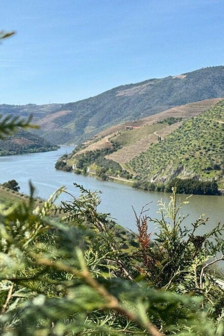 Douro Valley Full Day Tour From Lisbon - Itinerary Details