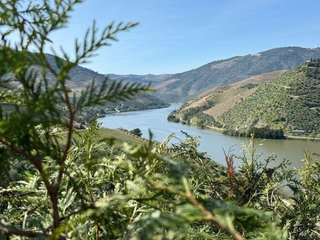 Douro Valley Full Day Tour From Lisbon - Experiences Included