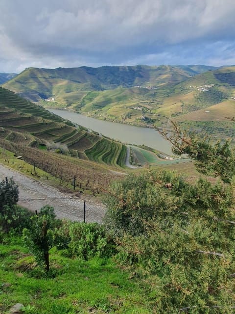 Douro Valley Full Day Tour From Lisbon - Transportation and Amenities