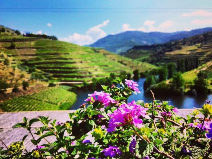 Douro Valley Full-Day Tour With Wine Tasting & Lunch - Tour Duration and Flexibility