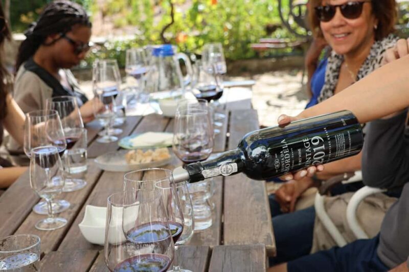 Douro Valley: Half-Day, with 1 winery & 1-h boat tour - Good To Know