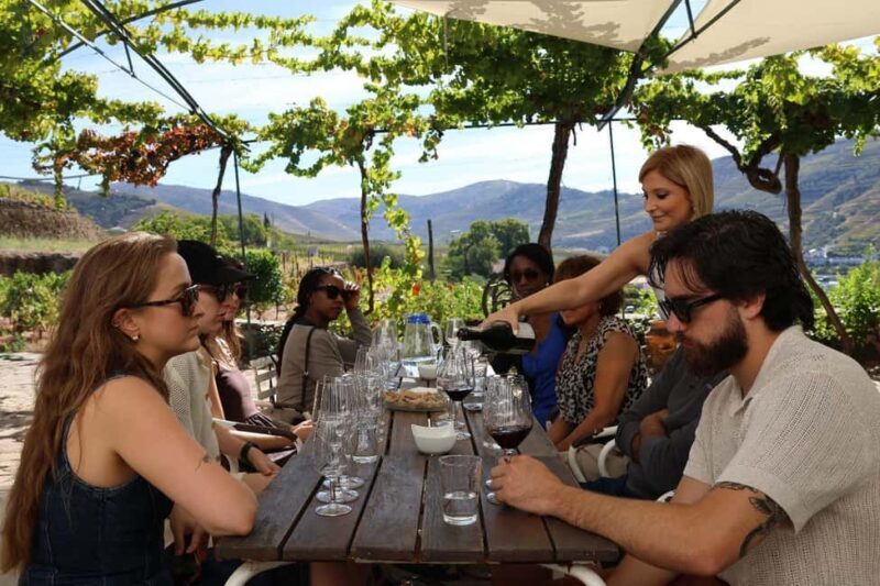 Douro Valley: Half-Day, with 1 winery & 1-h boat tour - Transport, Timing, and Group Size