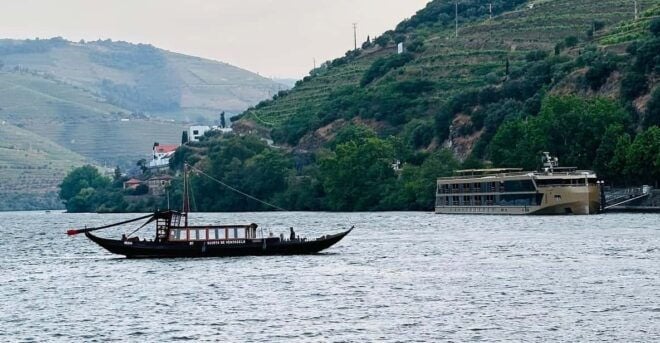 Douro Valley Journey: 4 Cities and Wine Estate All-Included - Wine and Culinary Experiences